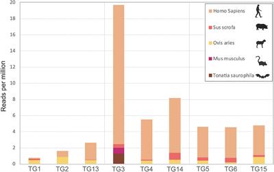 Virome and Blood Meal-Associated Host Responses in Ixodes persulcatus Naturally Fed on Patients